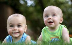 Материнский капитал на второго ребенка при первых родах двойни: дают ли Сертификат